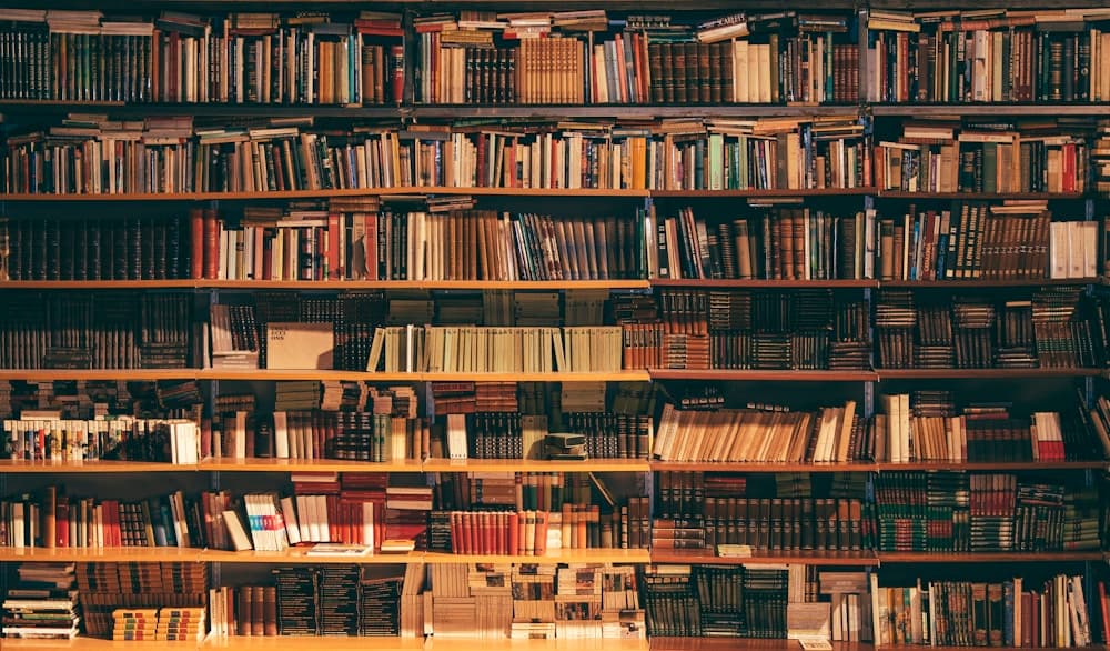 Estantes llenos de libros en una biblioteca